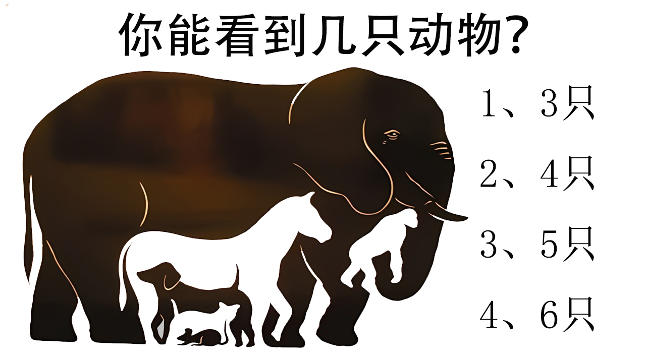 宝可梦大集结国际服
